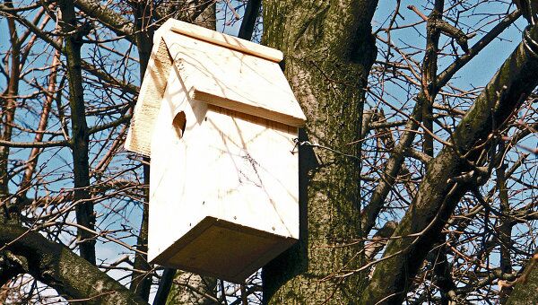 Скворечник и скульптура Бронзовая птица на дереве в Москве