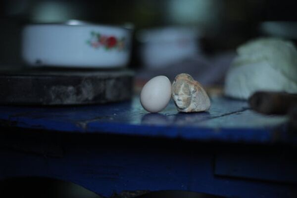 Кадр из фильма Яйцо и камень (Egg and Stone)
