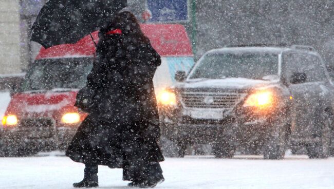 Снегопад в Москве. Архив