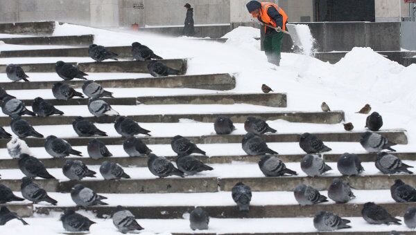 Уборка снега в Москве, Архив