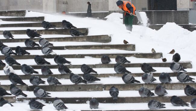 Уборка снега в Москве