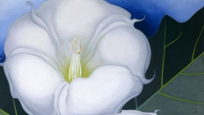 Джорджия О'Кифф (Georgia O'Keeffe). Два цветка дурмана с зелеными листьями и синим небом. 1938 год. Работа представлена на выставке в Выставочном зале Hypo-Kulturstiftung (Мюнхен)