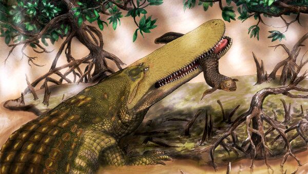 Щитодил Aegisuchus witmeri, обитавший в водах рек древнего Марокко 95 миллионов лет назад