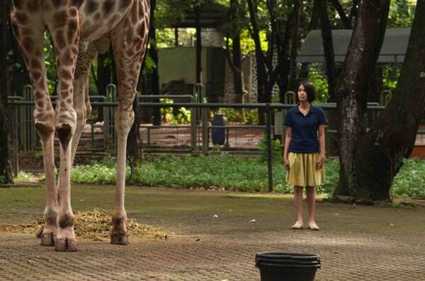 Кадр из фильма Открытки из зоопарка (Kebun binatang / Postcards From The Zoo)