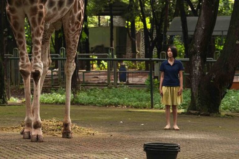 Кадр из фильма Открытки из зоопарка (Kebun binatang / Postcards From The Zoo)