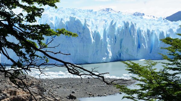 Ледник Хорхе Монтт н в чилийской Патагонии
