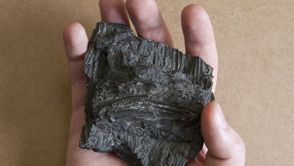 Окаменелые останки беспозвоночных граптолитов, отпечатавшиеся в породах Силурийского периода