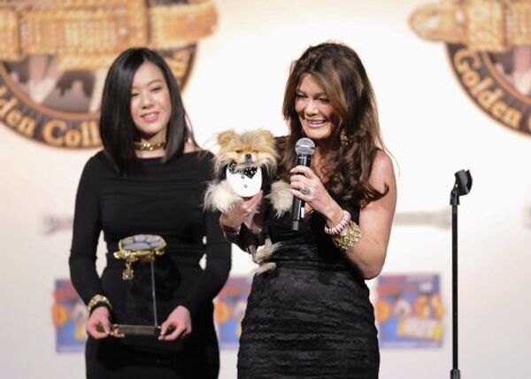 ‪Кинопремия для собак Golden Collar Award‬