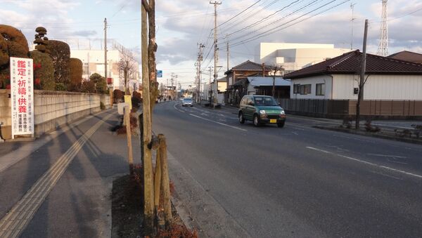 Город Минамисома, префектура Фукусима. Архивное фото