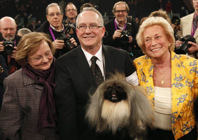 Выставка собак Вестминстер кеннел клаб дог-шоу ( Westminster Kennel Club Dog Show)