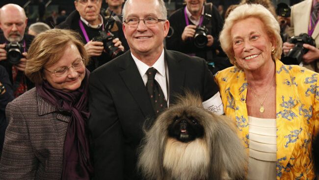 Выставка собак Вестминстер кеннел клаб дог-шоу ( Westminster Kennel Club Dog Show)