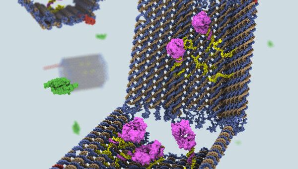 Медицинский наноробот доставит молекулы лекарства точно к нужной клетке