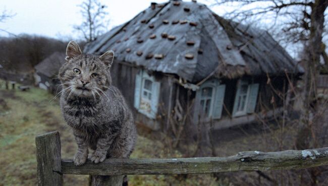 Ветхий дом в деревне. Архивное фото