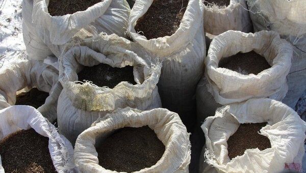 Более 200 килограммов конопли изъяли в Амурской области