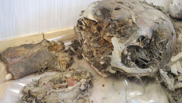 Кости мамонта. Архивное фото