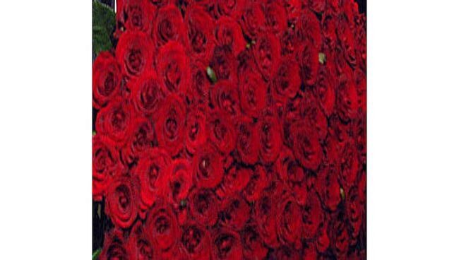 Мужчина, дарившей женщинам розы в центре Уфы, задержан милицией