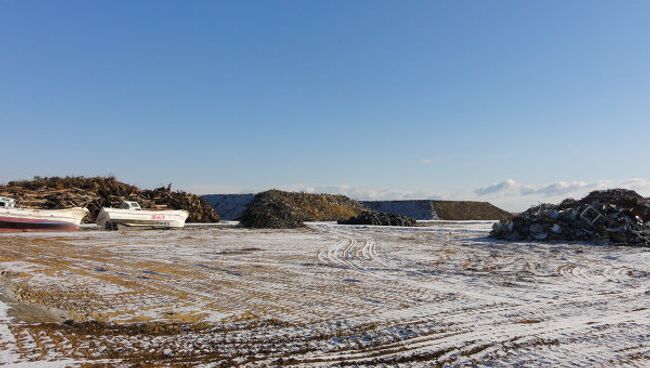 Год после катастрофы: за несколько километров от моря, префектура Фукусима