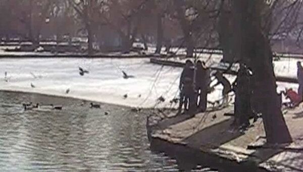 Жители Краснодара покормили зимующих птиц в местном парке 