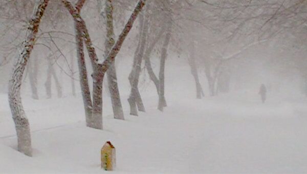 Самарскую область засыпало снегом в середине марта