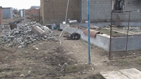 Спецоперация в селе Новосаситли в Дагестане