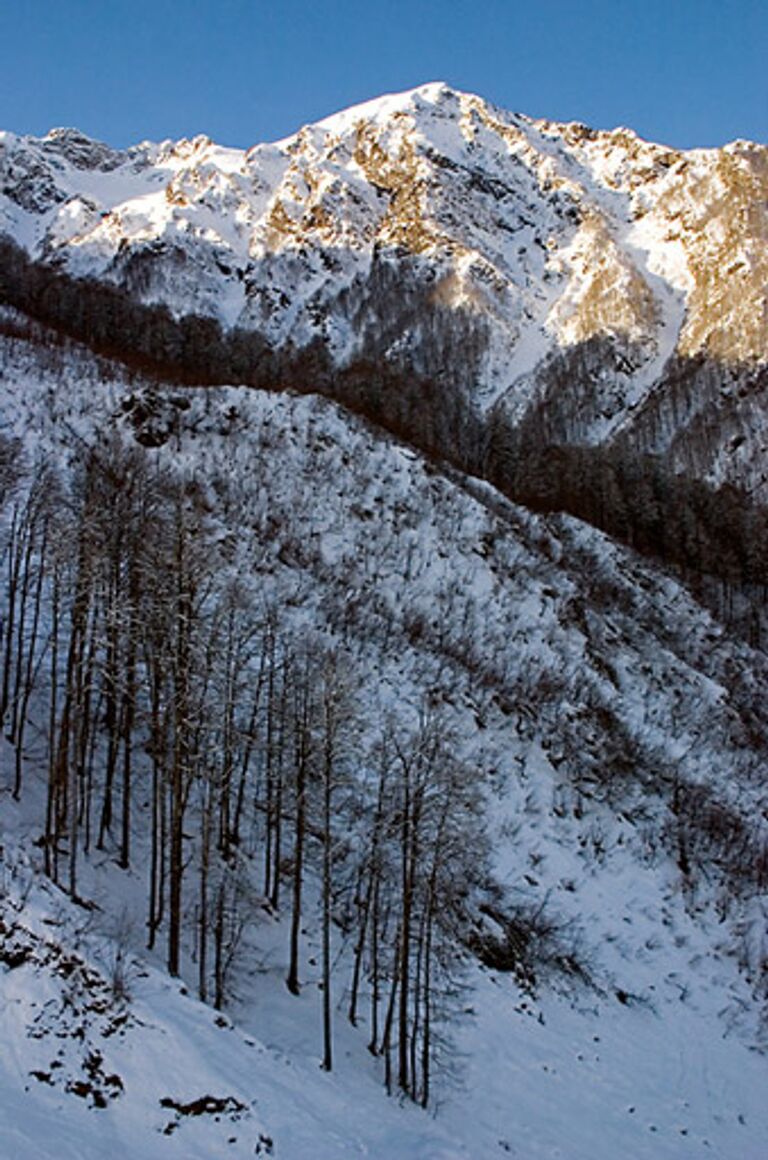 Фото Дарьи Ратниковой