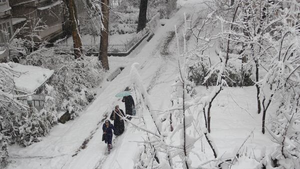 Аномальный для марта сильный снегопад обрушился на Душанбе