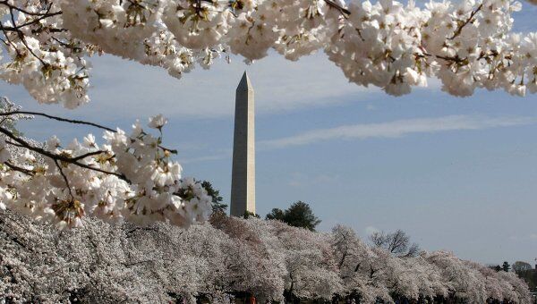 Вашингтонский фестиваль цветущей вишни