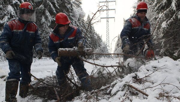 Сотрудники МОЭСК производят вырубку деревьев на территории расположения линий высоковольтных электропередач.