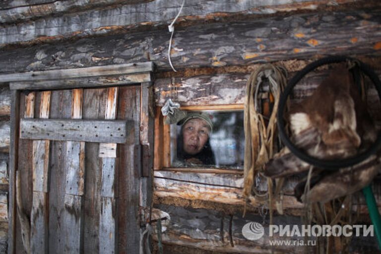 Быт оленеводов-кочевников в Сибири