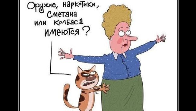 Что разнюхал этот кот?