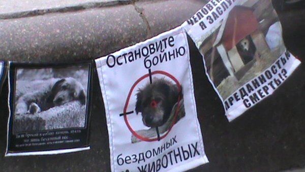 Защитники животных провели акции в нескольких городах России