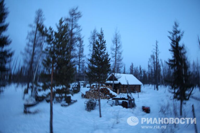 Последние кочевники-оленеводы из рода Сычегир