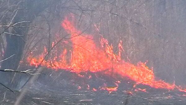 Земля в огне: в Астраханской области горит сухой камыш