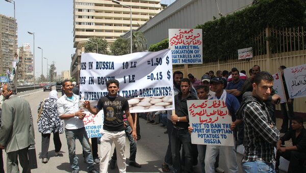 Пикет у посольства РФ в Каире 