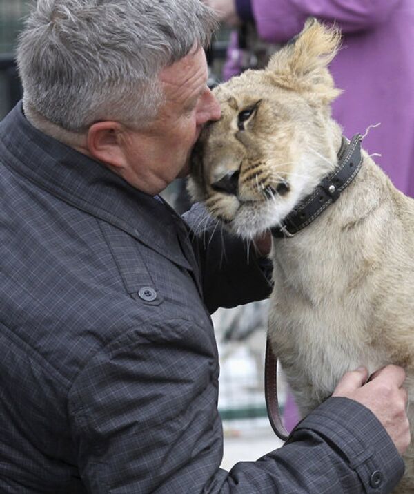 Сотрудник барнаульского зоорпарка со львенком Алтай