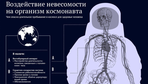 Воздействие невесомости на организм космонавта