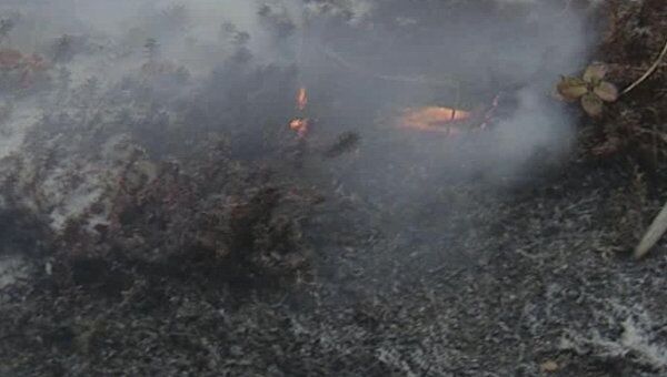 Ветер со снегом раздули лесной пожар на Колыме 