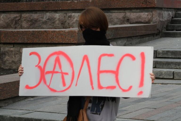 Спасти лес и наказать Pussy Riot: обзор митингов на Пушкинской площади