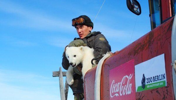 Операция по спасению белого медвежонка в Якутии