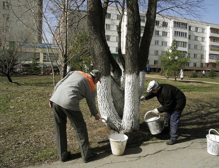 Субботник в Елабуге и Арсеньеве