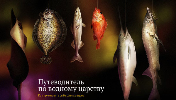 Путеводитель по водному царству, или Как приготовить рыбу разных видов