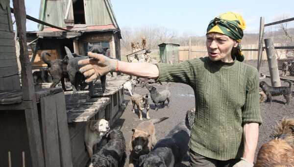 Жительница поселка Кипарисово Зоя Андрющенко заботится о 250-ти бездомных животных