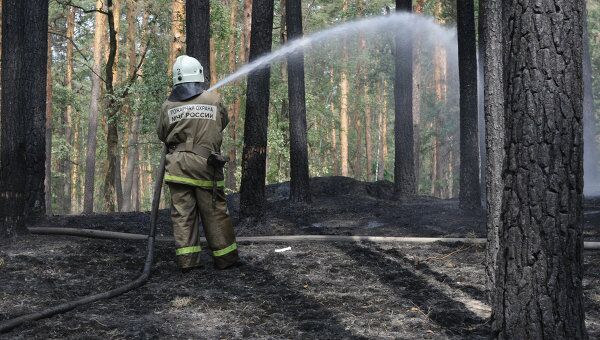 Тушение лесных пожаров 