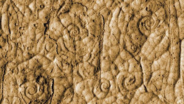 Лавовые улитки на поверхности долины Атабаска у экватора Марса