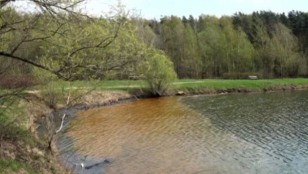 Отдыхающие в Тропаревском парке обнаружили пятна мазута на озере