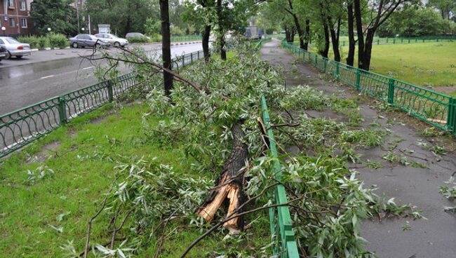 Последствия грозы в московском районе Гольяново 13 июня 2010 г. 