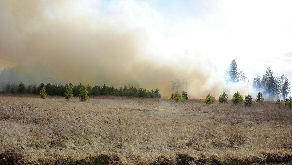 Тушение лесного пожара на окраине села Смоленка под Читой
