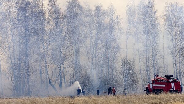 Сразу 12 домов сгорели в Нижегородской области из-за пала травы
