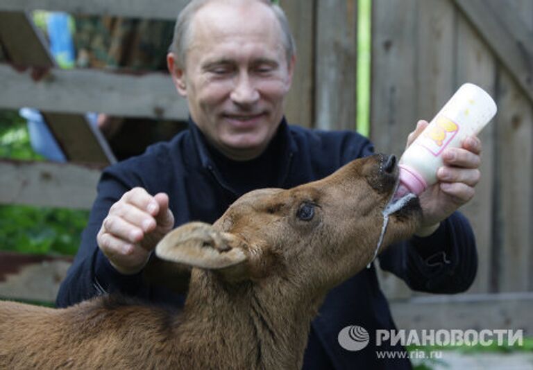 Премьер-министр РФ Владимир Путин посетил парк Лосиный остров