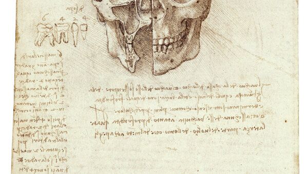 Анатомические открытия Леонардо да Винчи покажут на выставке в Лондоне